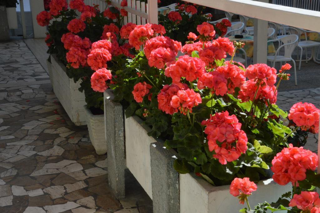 Mantovani Hotel Mariu Rimini Dış mekan fotoğraf